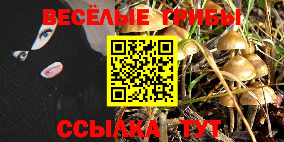 Воронеж  Галлюциногенные грибы Cubensis  Вход с VPN 