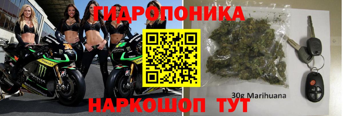 Воронеж  Канабис конопля  Конопля план  Марихуана AK-47  Вход с VPN 